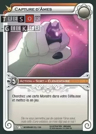 Capture d'Âmes [Incarnam 223/320]