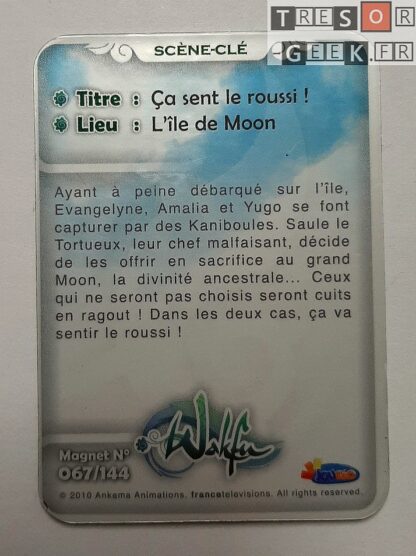 Magnet Wakfu #67: Ça sent le roussi ! (épisode 14)