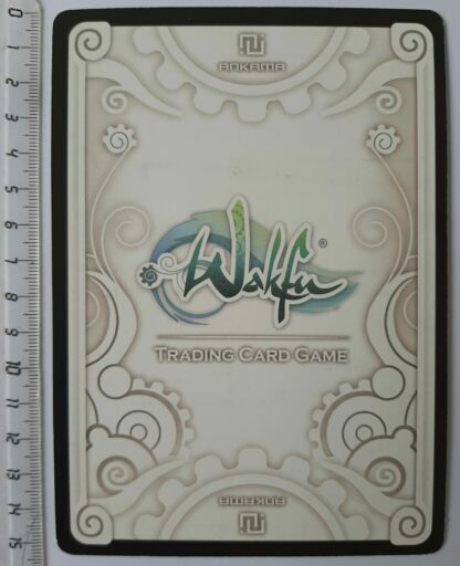 Wakfu_carte_geante_dos_dimensions