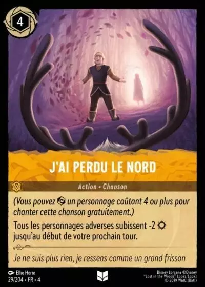 J'ai perdu le Nord [29/204 FR 4]